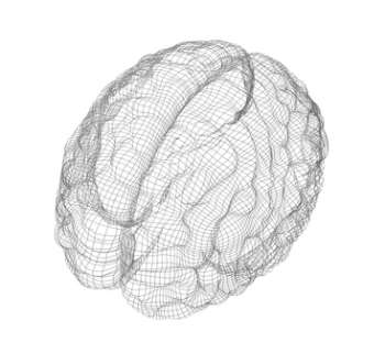 The Brain Functions Mathematically!