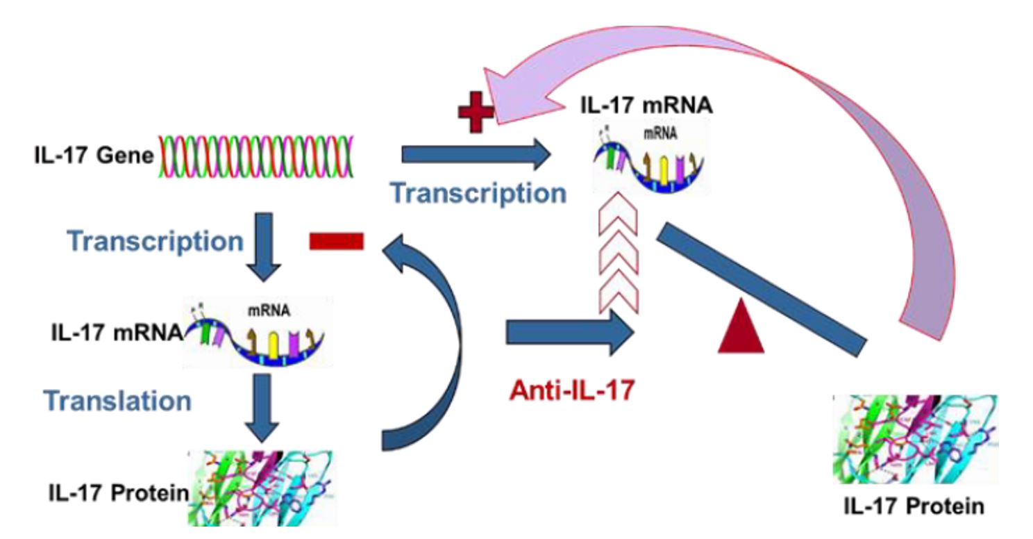 Rethinking of Small Molecules in Treating Psoriasis