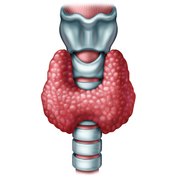 Differentiated Thyroid Cancer: Management and Treatment in a Community Hospital and Guidelines to Lower Morbidity