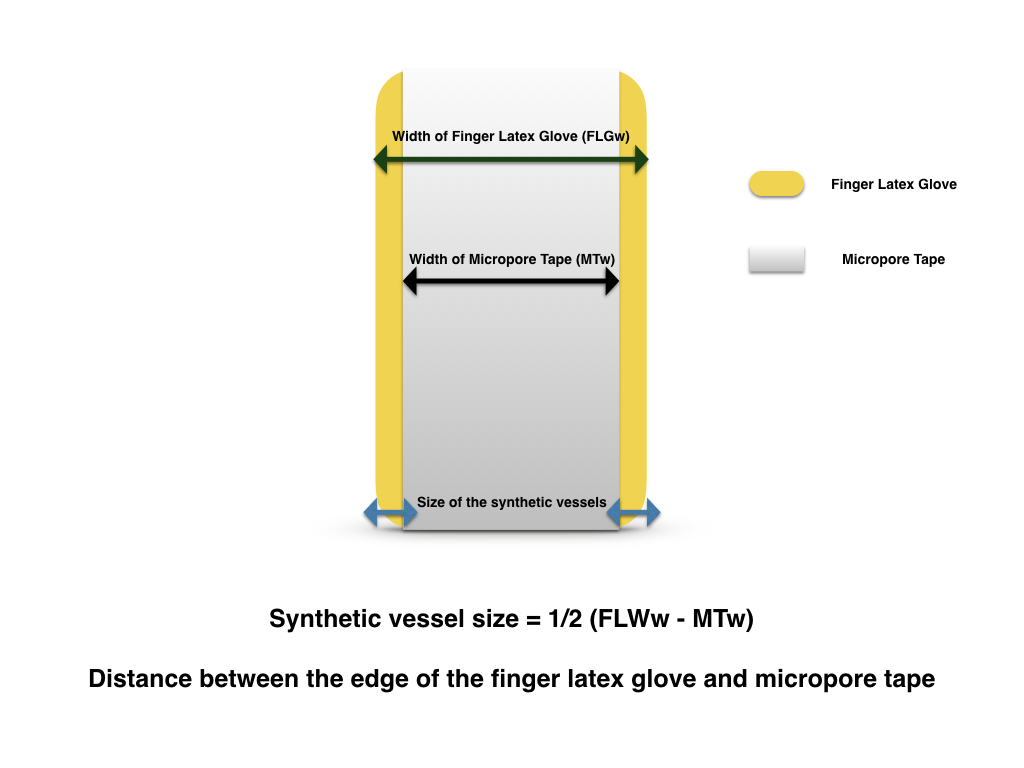 Novel and Efficient Synthetic Microvascular Anastomosis Training Model