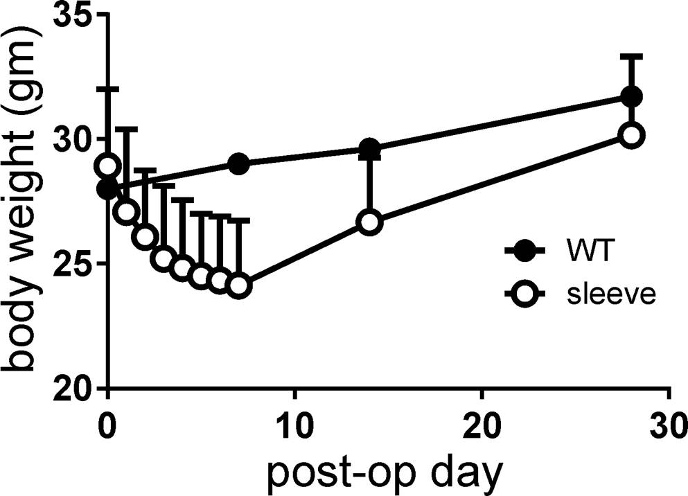 A Modified Technique of Mouse Vertical Sleeve Gastrectomy Using Two Disposable Micro-clamps