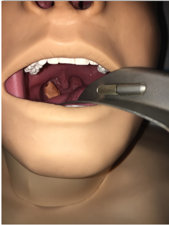 Otolaryngology Simulation to Manage Oropharyngeal Hemorrhage