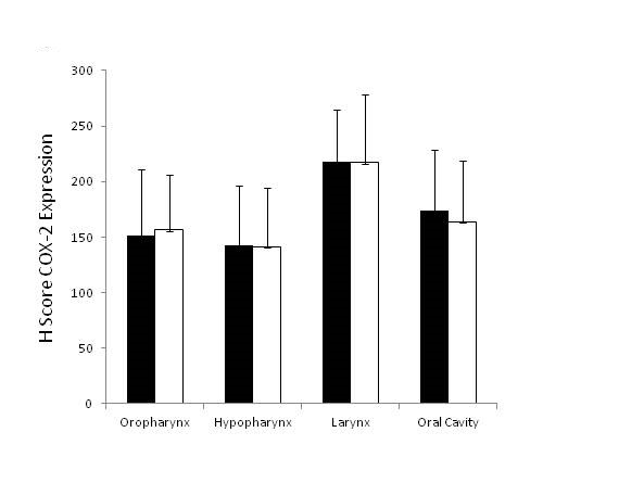 Figure2rev.JPG