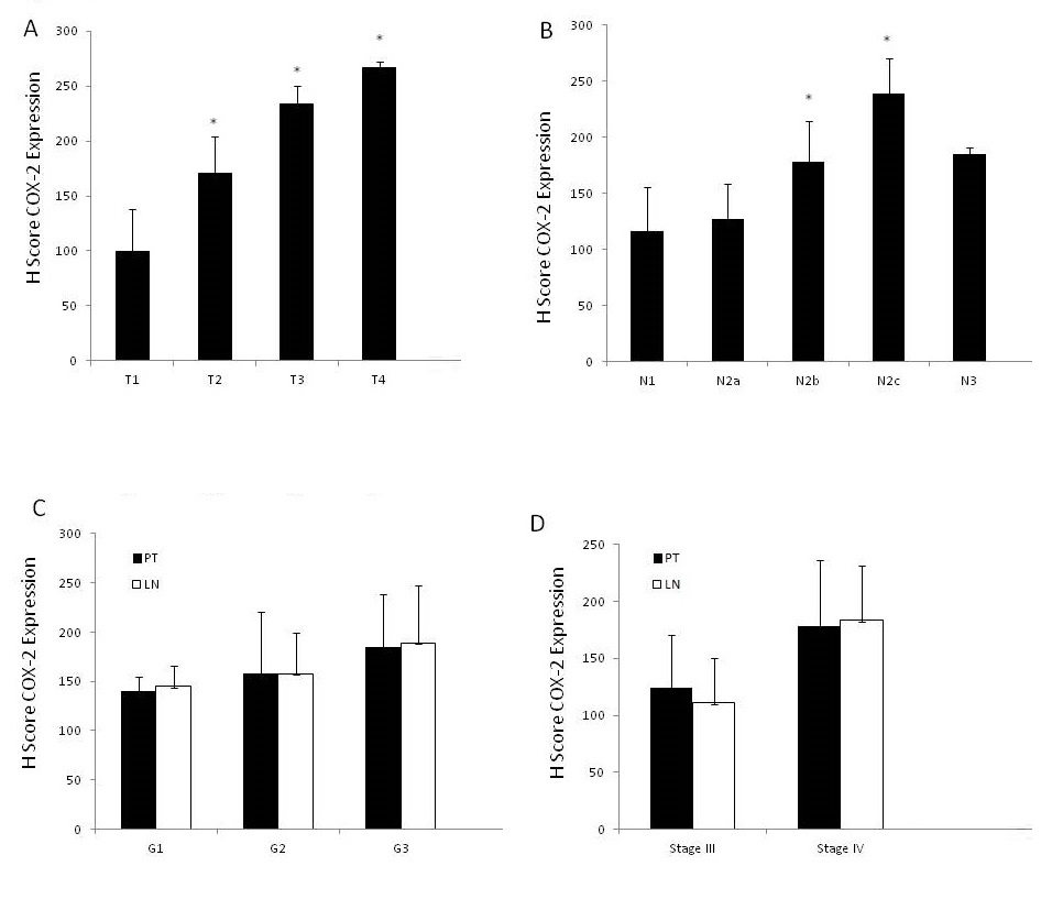 Figure3rev.JPG